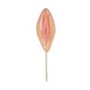 Vagina Lolly - Grappig Cadeau - Aardbeiensmaak - Lollipop