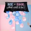 Gender Reveal Balloon Bag Kit